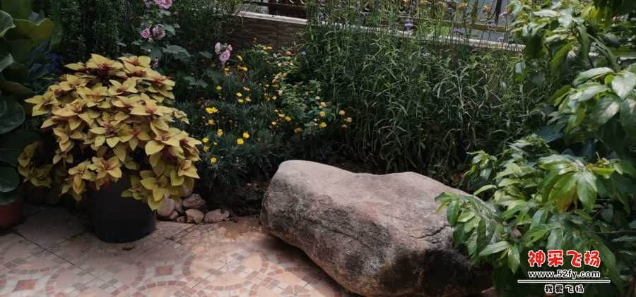 wechat_upload15673258855d6b7ebd2caff