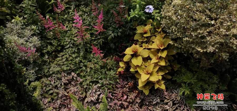 wechat_upload15673258855d6b7ebddeb9b