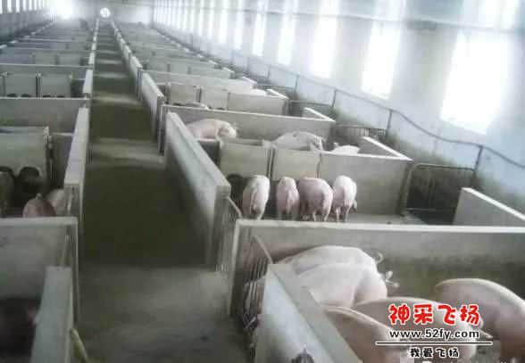 wechat_upload15709364275da2966b619c7