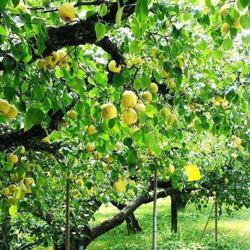 wechat_upload15838537745e67b0ce55b76