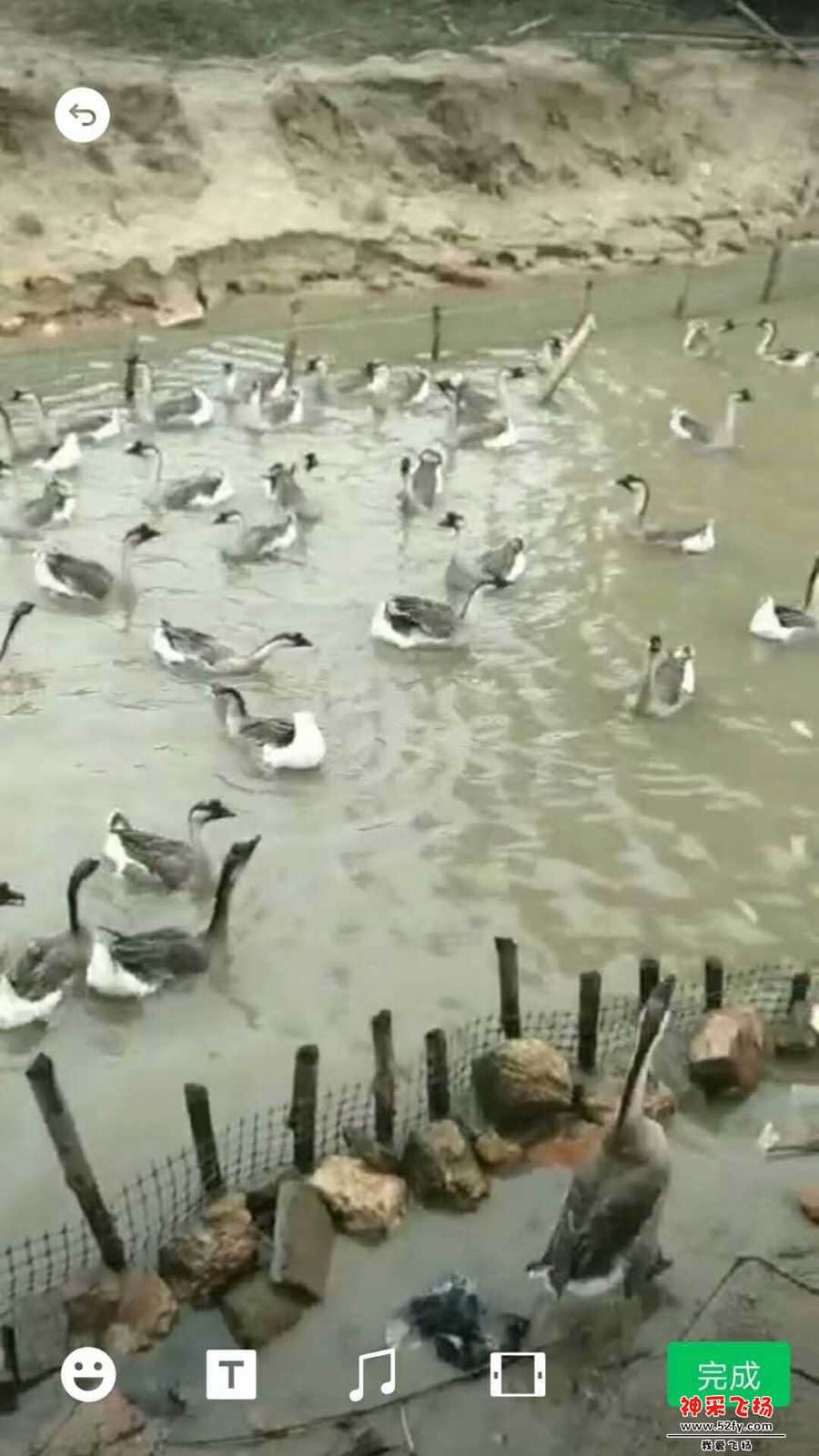 wechat_upload15846858425e746312a794a