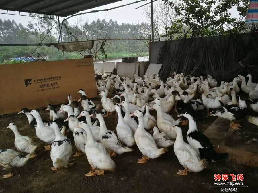 wechat_upload15846858425e746312281bb