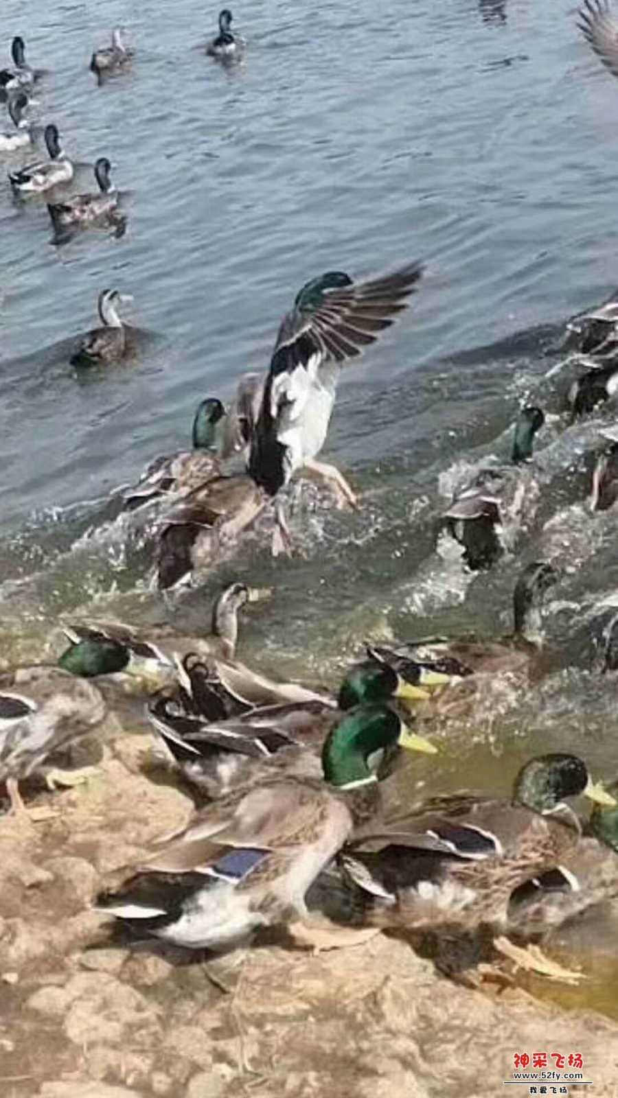 wechat_upload15846858435e7463134b73b