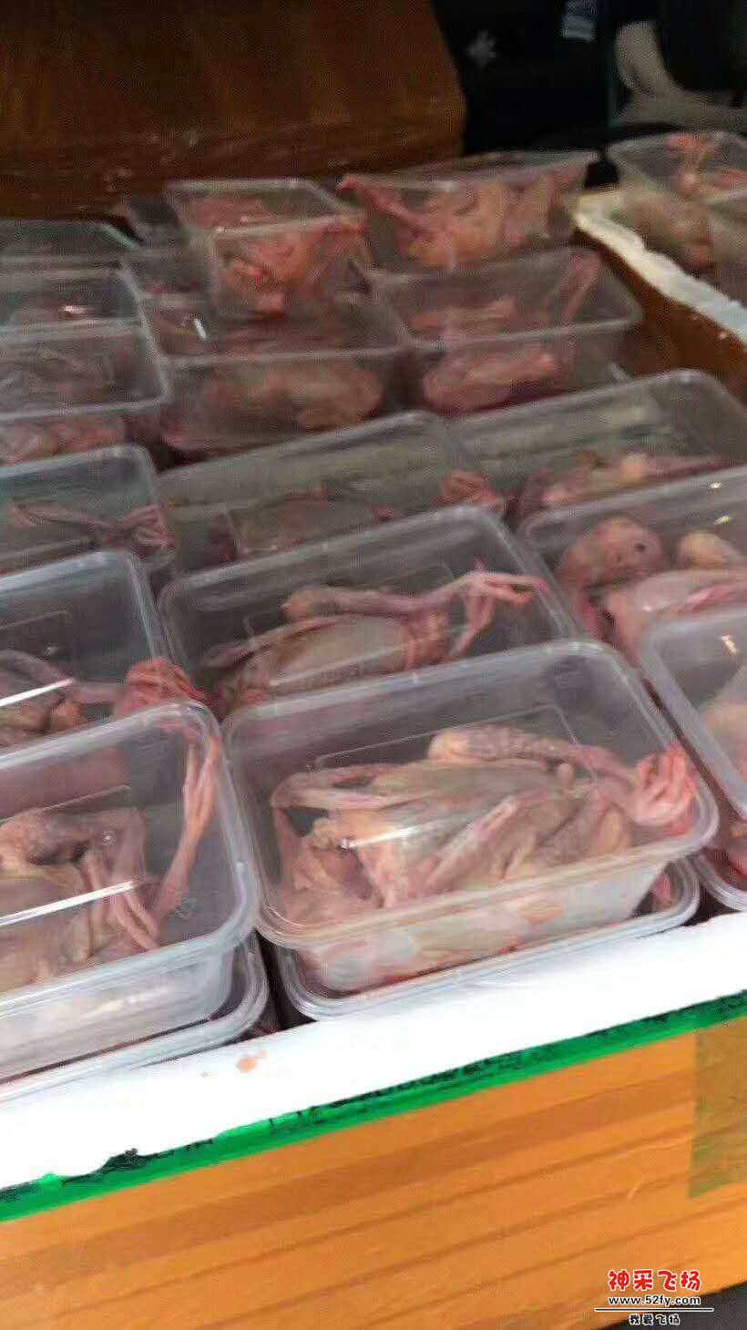 wechat_upload15846858445e74631451a4a