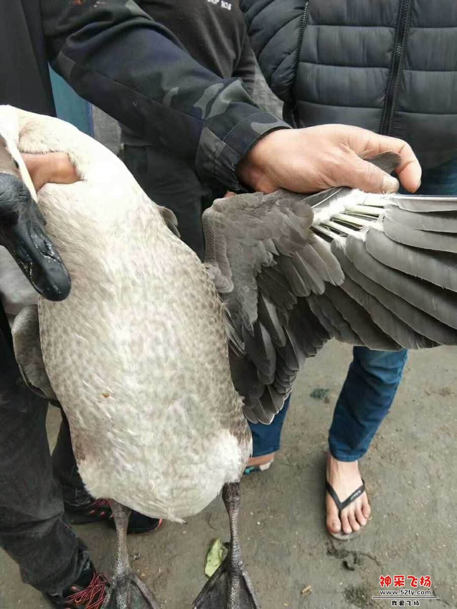 wechat_upload15848016975e7627a16b6cc