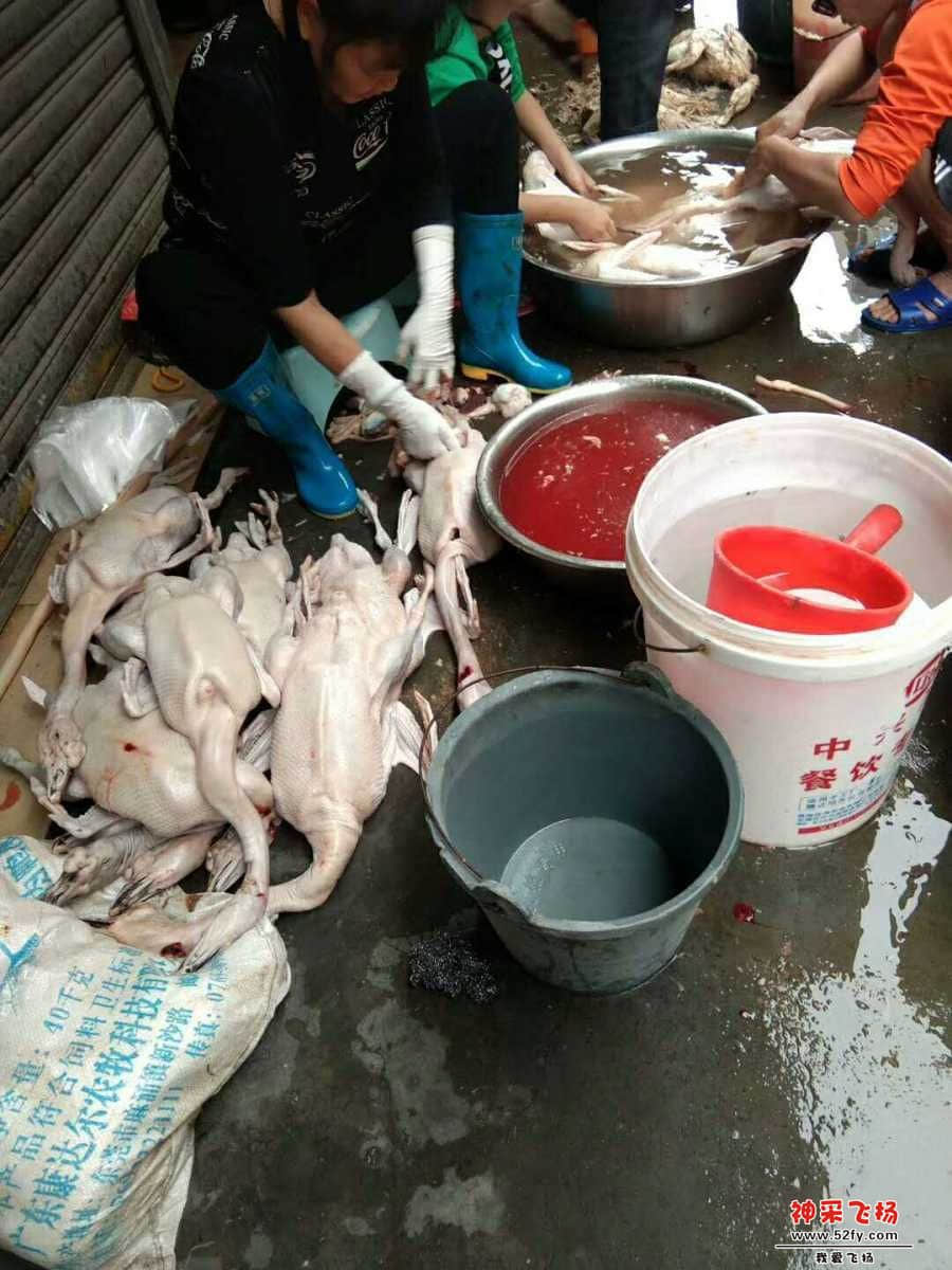 wechat_upload15858415185e86056e97632