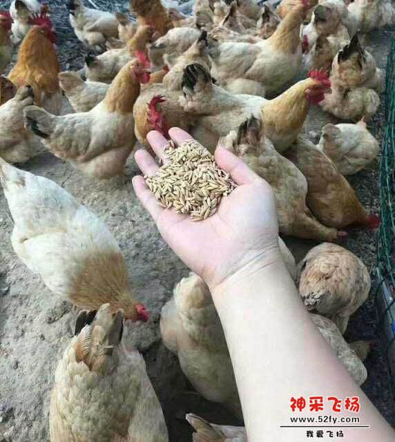 wechat_upload15858415215e86057145b02