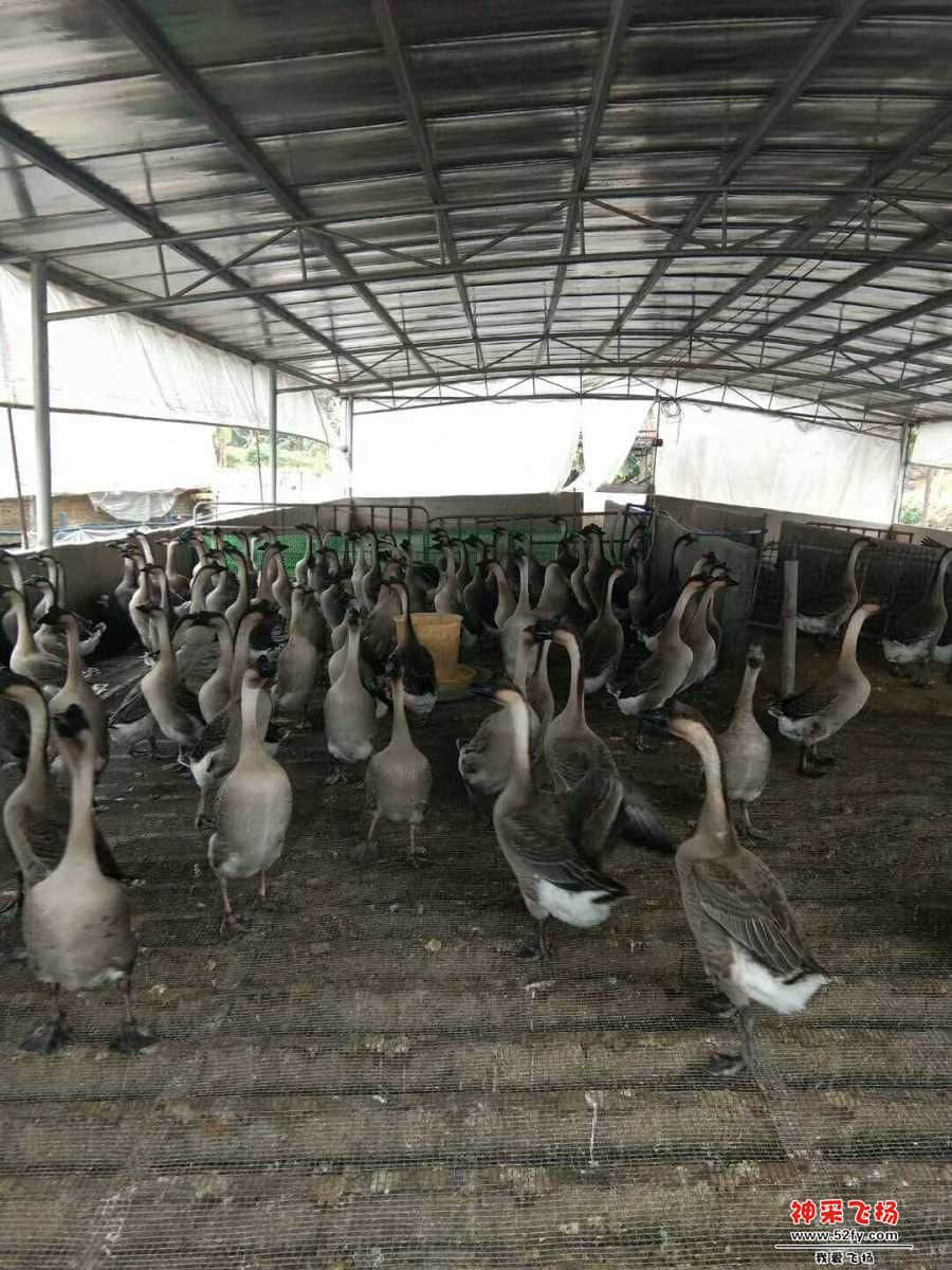 wechat_upload15860104675e8899630c9f8