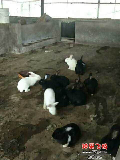 wechat_upload15860104675e889963c69d5