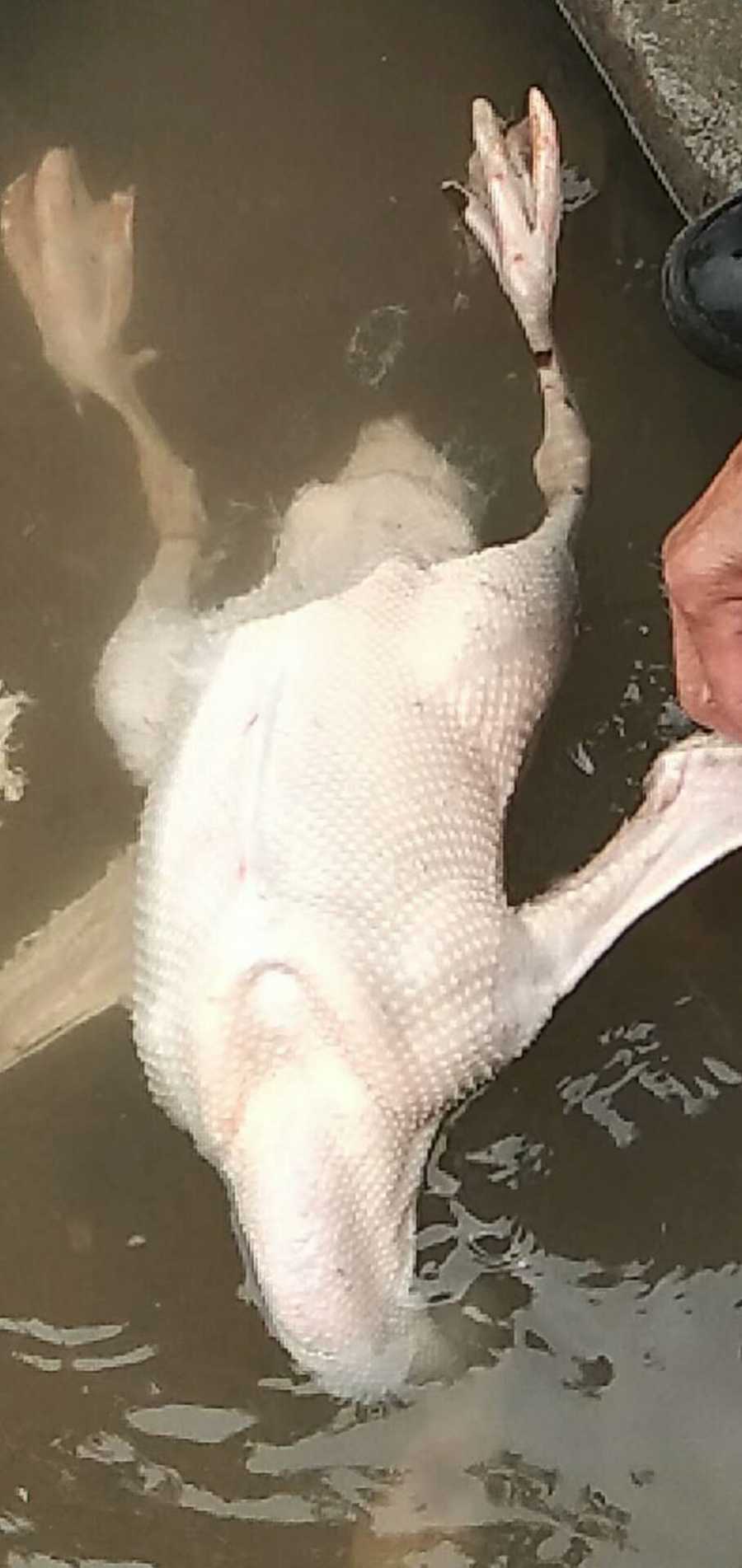 wechat_upload15863155205e8d410014142