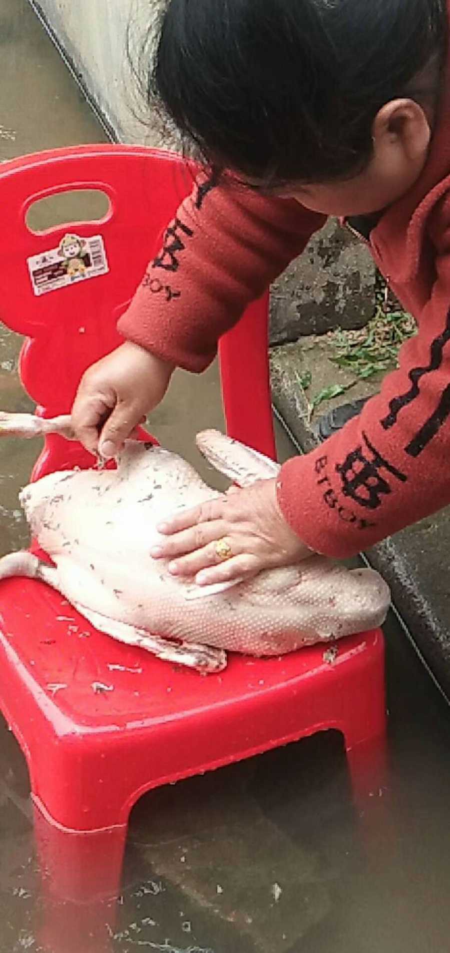 wechat_upload15863155205e8d4100b7124