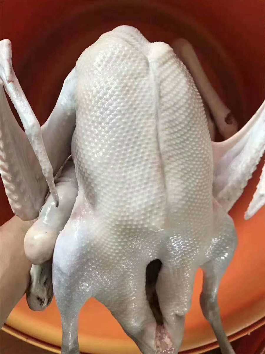 wechat_upload15863155225e8d4102779d8