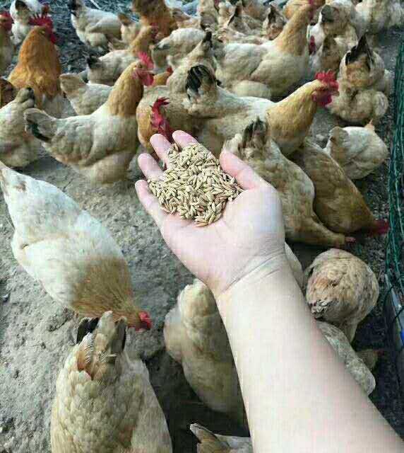 wechat_upload15863155325e8d410c8574e