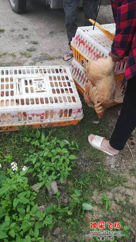 wechat_upload15866130125e91cb1465e35