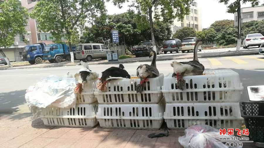 wechat_upload15866130135e91cb158ea7f