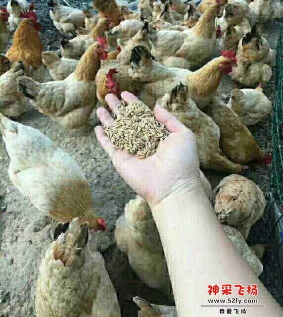 wechat_upload15866130155e91cb17670b4