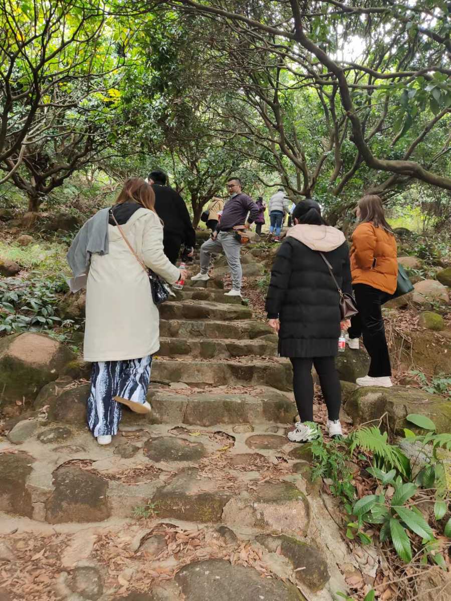 wechat_upload164066153561ca821f5f8bf