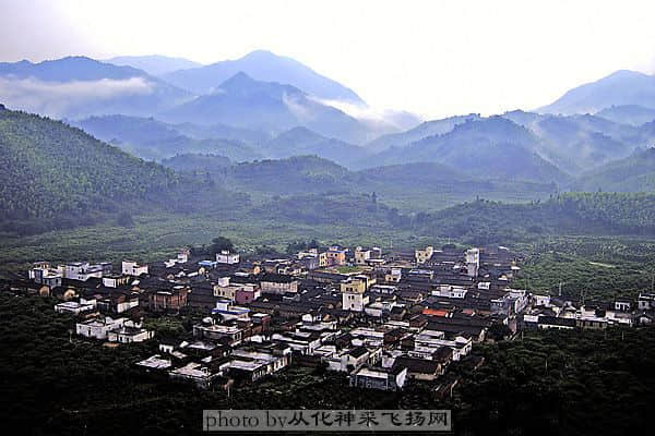 黄茶园——溪头村