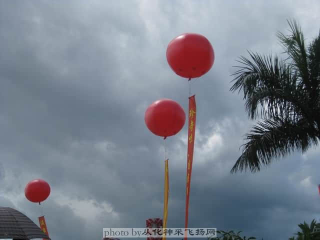 调整大小 荔枝节.jpg