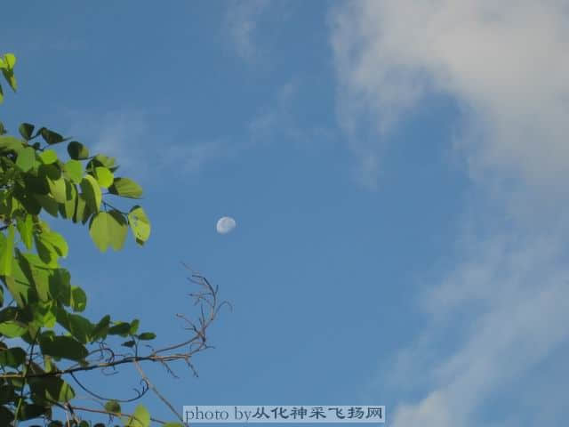 调整大小 蓝天白云.jpg