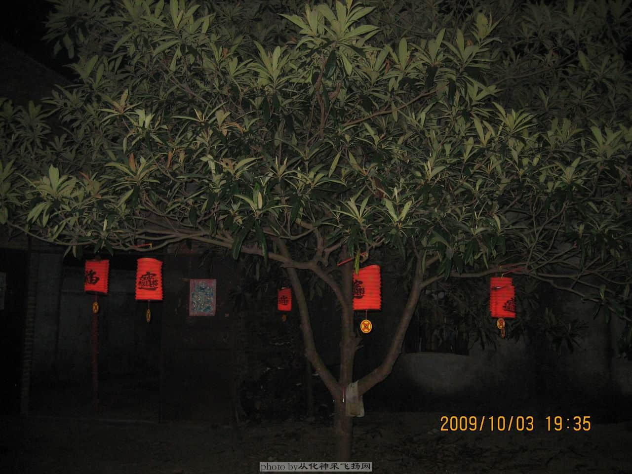 挂上灯笼点缀一下