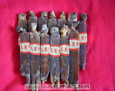 高丽参.jpg