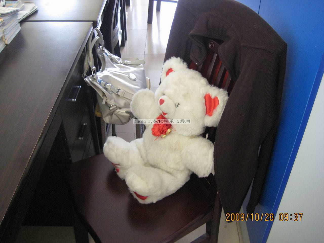 帮我消除疲劳的熊熊