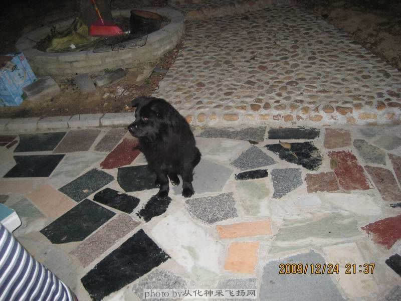 因为美味它也被吸引过来了