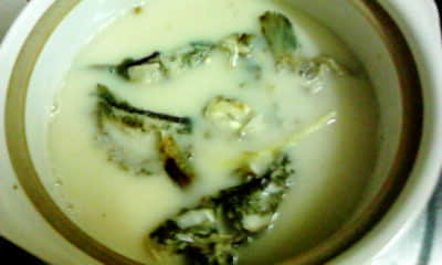 牛奶一样的鲫鱼汤