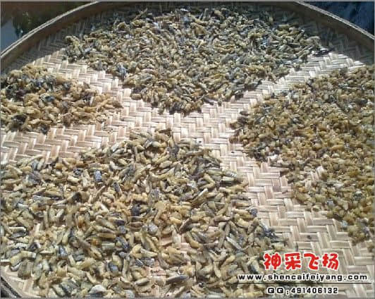 再晒三天就OK了