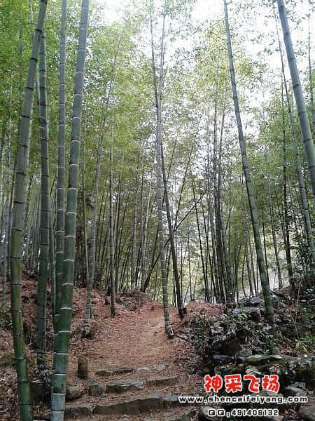 2012-01-13 10.19.24.jpg