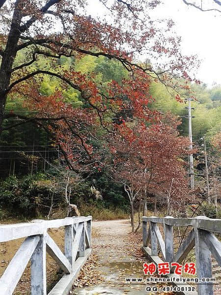 2012-01-13 10.54.14.jpg