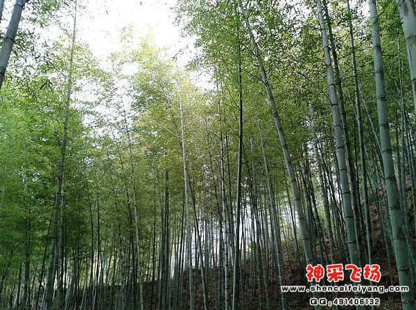 2012-01-13 10.41.41.jpg