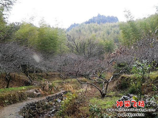 2012-01-13 10.17.08.jpg