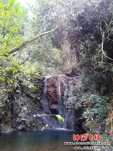 2012-01-13 10.29.25.jpg