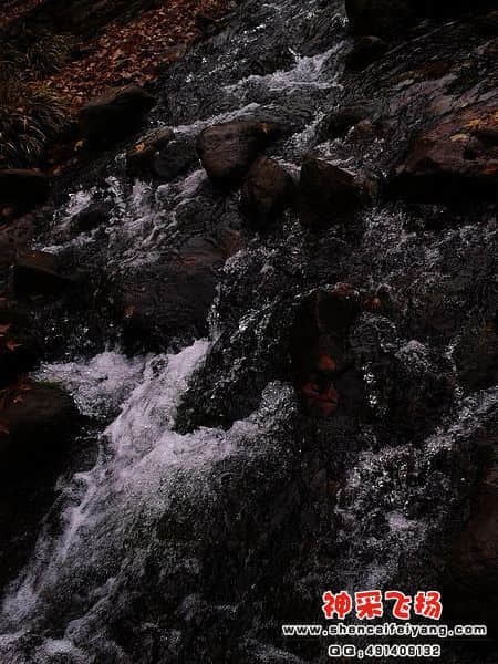 2012-01-13 10.58.50.jpg