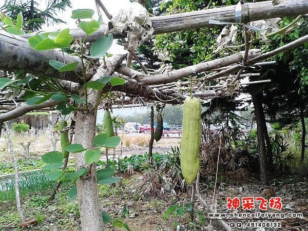 2012-01-13 13.46.14.jpg